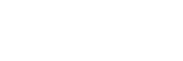 DimLuxData logo vit